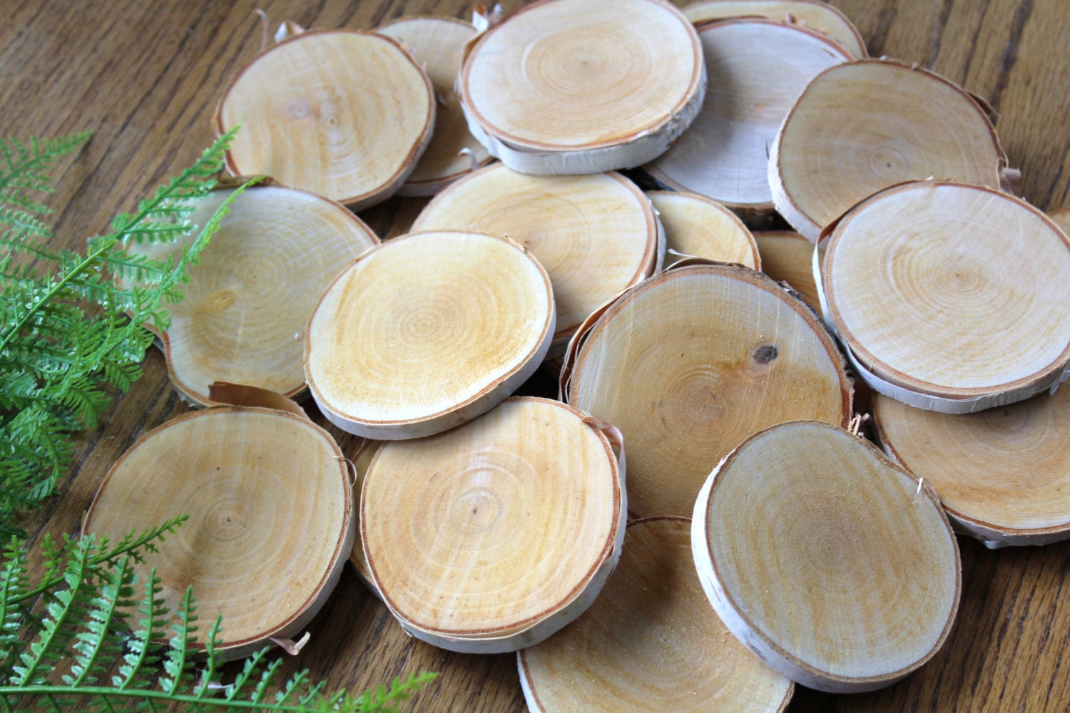 3.5'' Birch Slices/ 50 Birch Wood Slices / by OurLifeInTheWoods