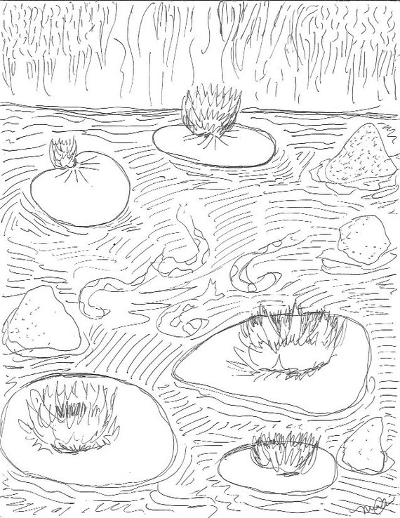 Lily Pad Coloring Sheet