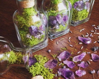Terrarium Jar Fairy Garden Gift For Her Raw Crystal Healing Crystals and Stones Bohemian Decor Girlfriend Gift Terrarium Amethyst Crystal