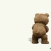 Flower Bear