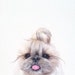 Stacy Pham