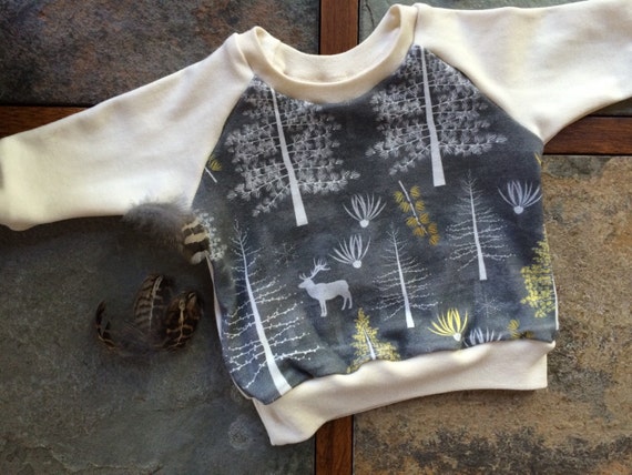 Ready to Ship - Winter Organic Baby Sweatshirt - Winter Tamaracks