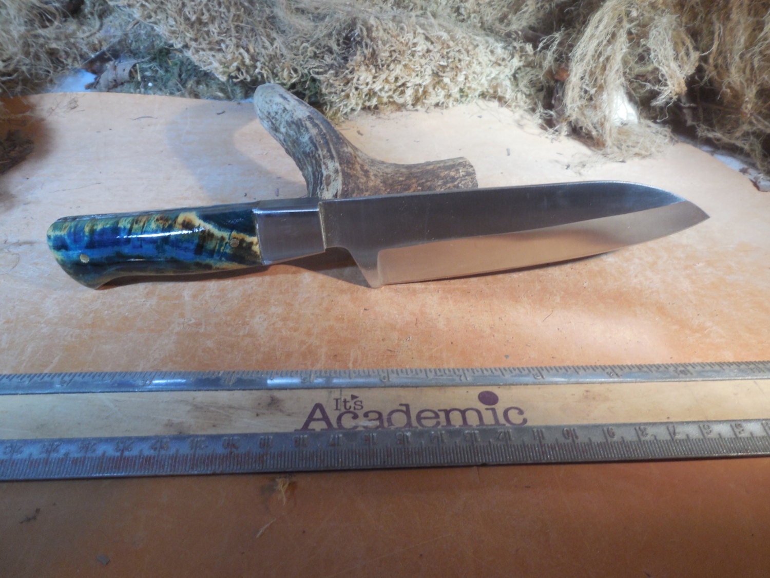 Santoku Chef and Camping Knife Blue Stabilized Aspen wood