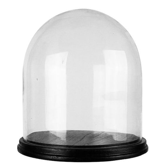 CYS Glass Cloche Dome with Black Wood Base. H11 Cloche