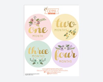 The London | Floral Baby Girl First Year 12 Month Growth Sticker Set