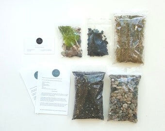 Succulent terrarium BASICS, terrarium kit, terrarium supplies, mini garden, diy gift, birthday gift