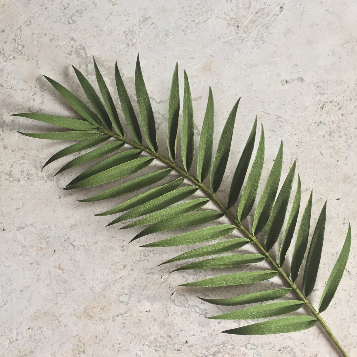Crepe Paper Palm Frond Single Stem Greenery Tropical