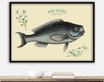 Einzigartige Artikel zum Thema marine decor | Etsy