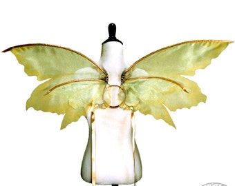 Lina No. 24, Medium Organza Fairy Wings in Pale Green and Gold - Strapless Convertible