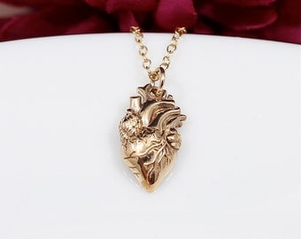 Gold Anatomical Heart Necklace - Realistic Heart Necklace in Bronze on a 14k Gold Filled Chain