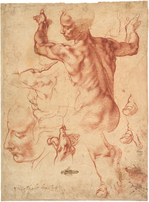 michelangelo sibyl drawing