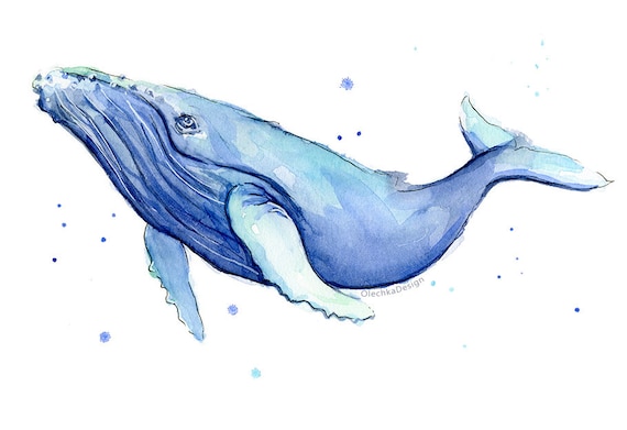 Humpback Whale Watercolor Print Whale Art Whale Painting