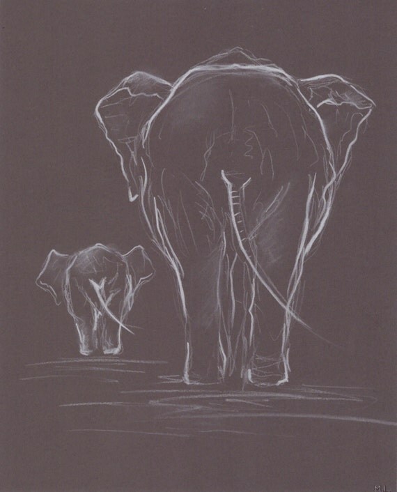 Two Elephant White Pastel Drawing. Original Elephant by madareli