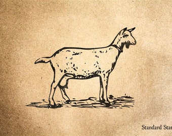 Goat Rubber Stamp - 2 x 2 inches