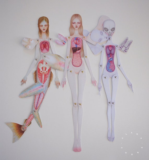 drawing anatomy doll