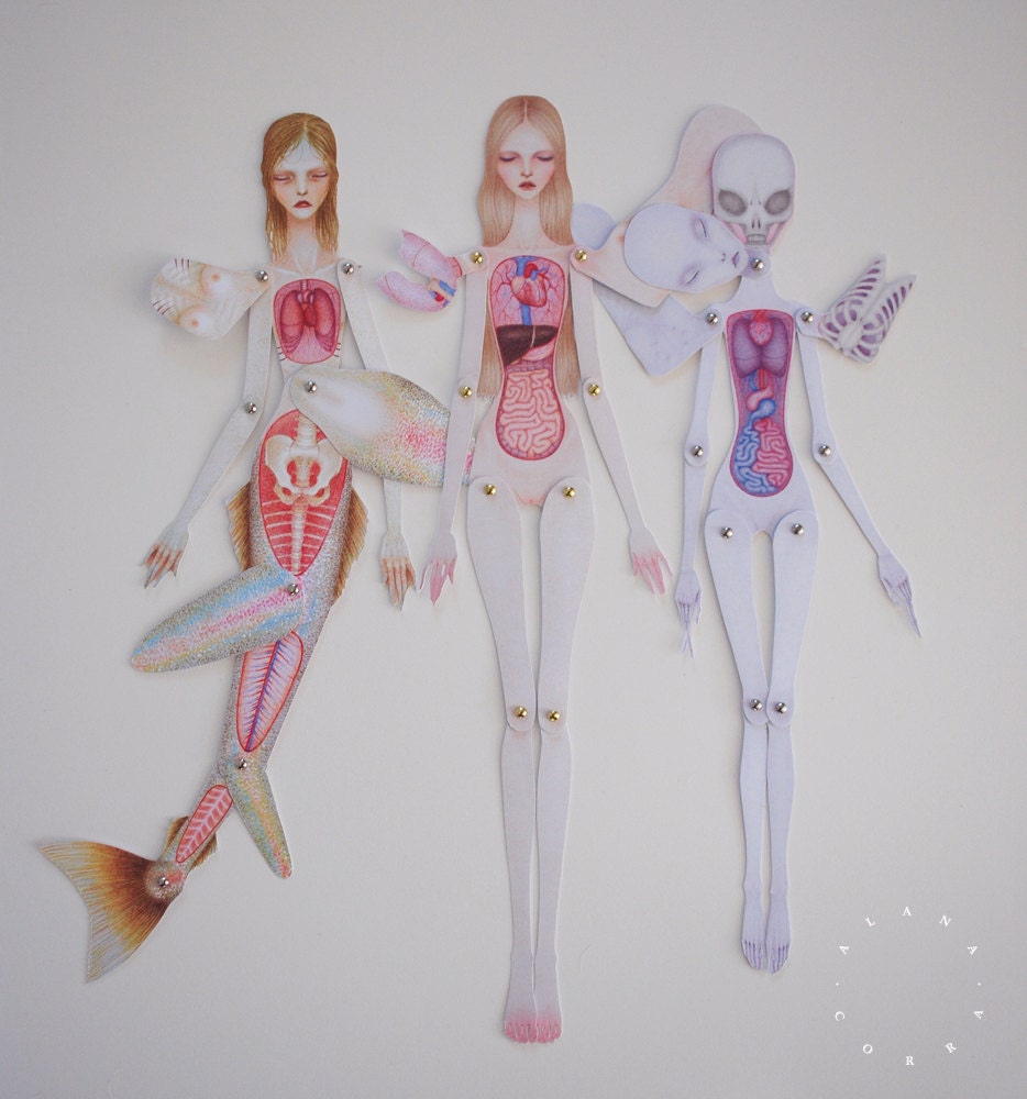 anatomy reference doll