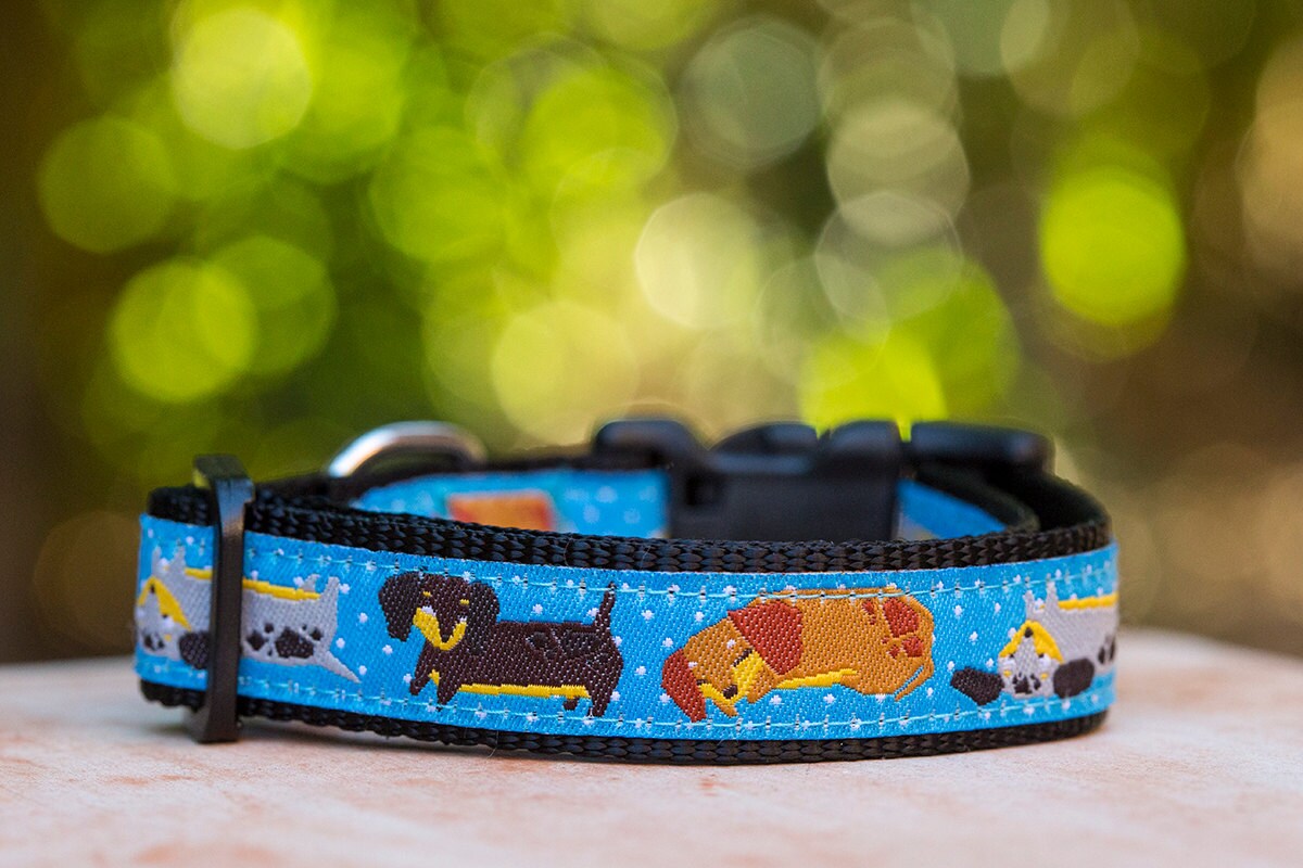 Dachshund Dog Collar / Sausage Dog Collar / XSM /Dog Collars