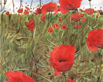 ON SALE Original Poppy field watercolor painting. Poppy picture. Poppy painting. Watercolor poppies. Floral watercolor. Poppy wall art.