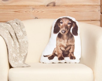 wiener dog pillow case