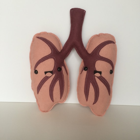 plush human organs