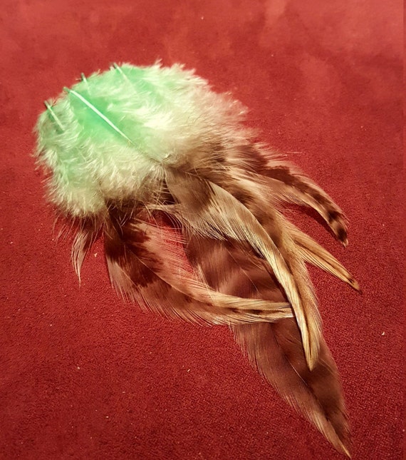 Dyed Chicken Feathers Cruelty Free Humane Naturally Molted