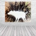 BANKSY Canvas Wall Art Print Wet Dog by by ArthouseReady2Hang
