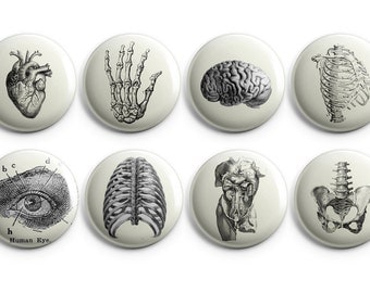Vintage anatomy buttons, Anatomy fridge magnets - 1.25" buttons - stocking stuffers, coworker gift, vintage heart - B004