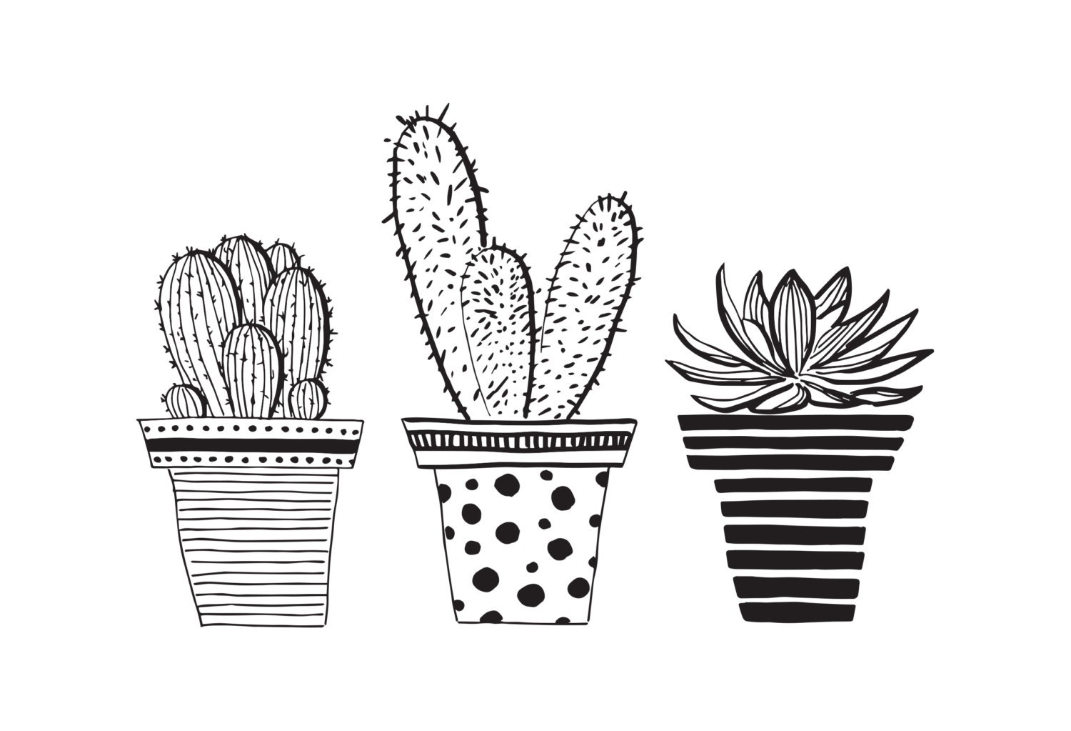 Three Sweet Potted Cactus pen drawing Cactus Illustration