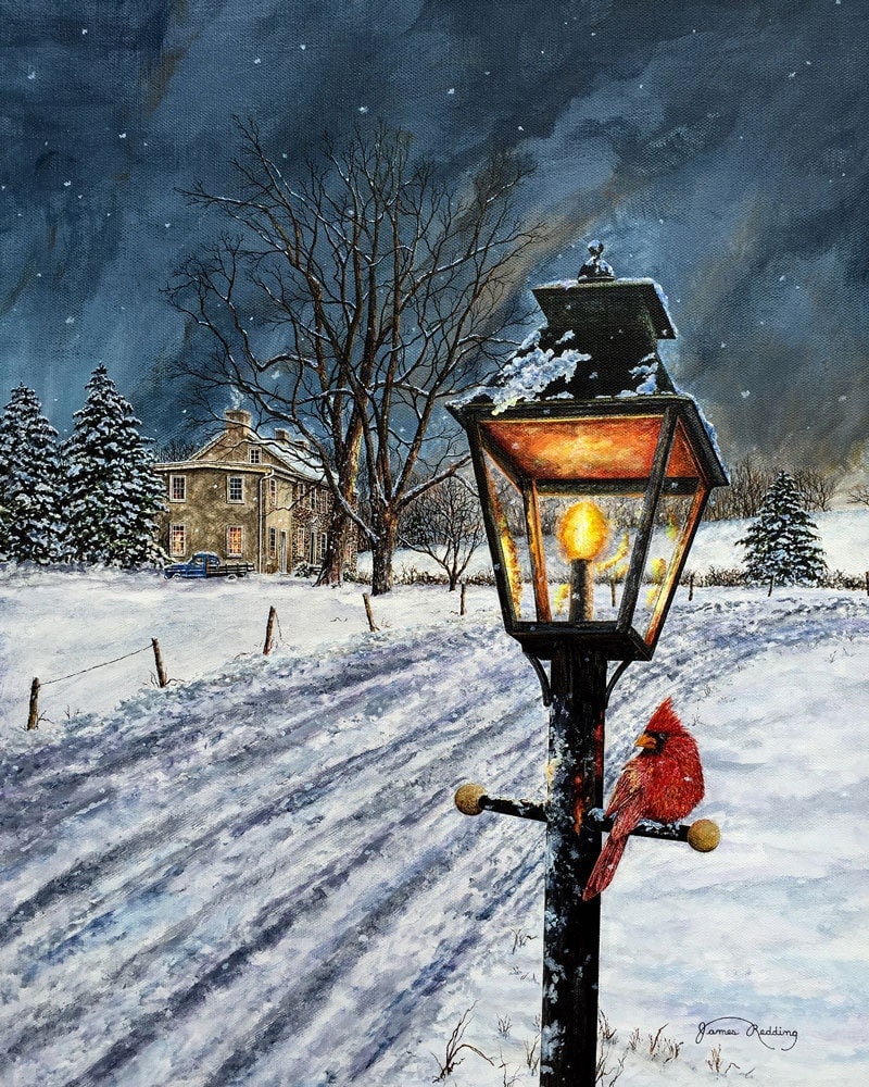 Lamppost Painting Cardinal Painting Winter Scene Snow for Lamp Post Painting
165jwn Lamppost Painting Cardinal Painting Winter Scene Snow for Lamp Post Painting
165jwn