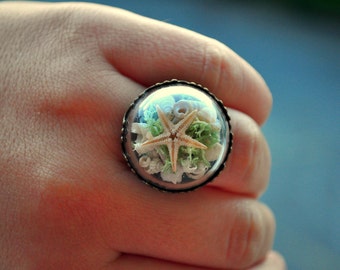 Sea ring, Real Seashell ring, Beach ring, Ocean ring, Vintage ring, Bronze ring, Romantic ring, Mediterranean seashells