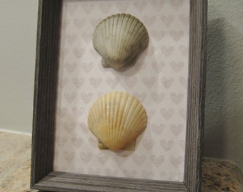 Frame with Scallop Seashells- touch of whimsy!- Coastal Decor, Beach Decor, Nautical Decor