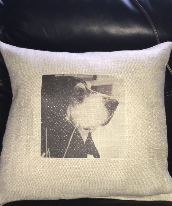 Pet pillow by southernjules9 on Etsy