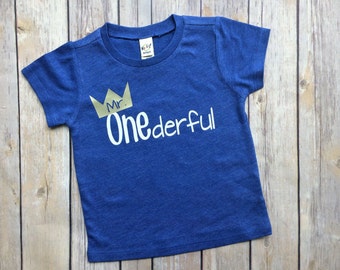 boys first birthday shirt, mr. Onederful, boys tshirt, birthday tee, toddler birthday, birthday gift for boys