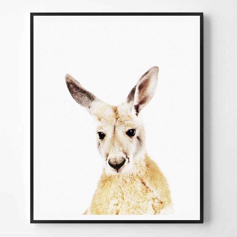 Kangaroo Print Kangaroo printable Wall Art Australian