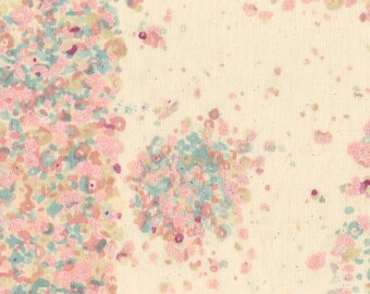 Nani Iro Kokka Japanese Fabric Fuwari fuwari - harusaki - 50cm