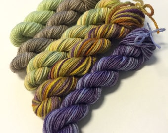 Sock Yarn Mini Skein Set - Desert Bloom - 5 Mini Skeins