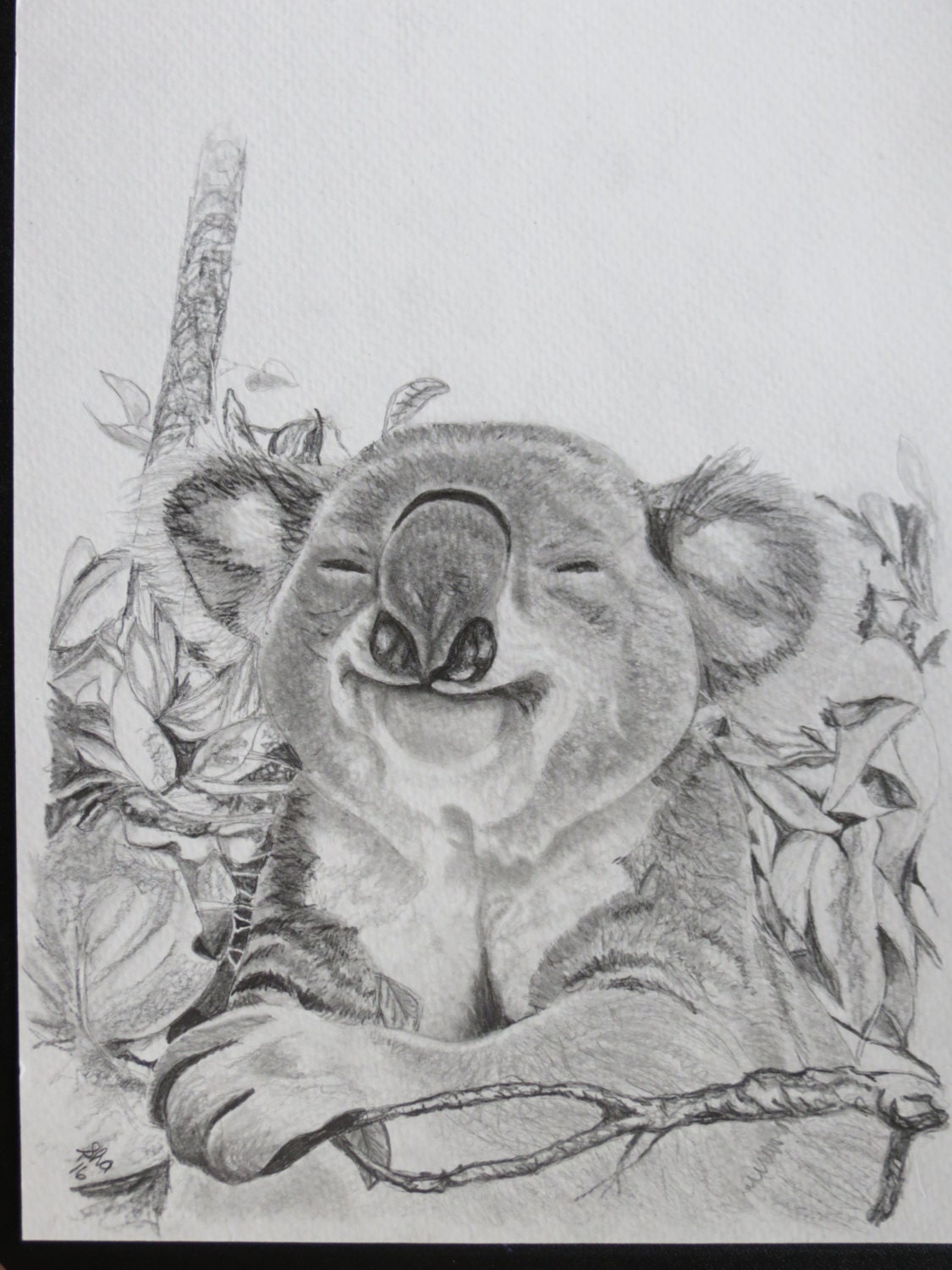 Koala Bear Original Portrait Pencil Sketch 9 x 12 inch U