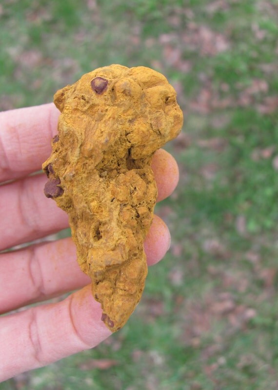 petrified feces