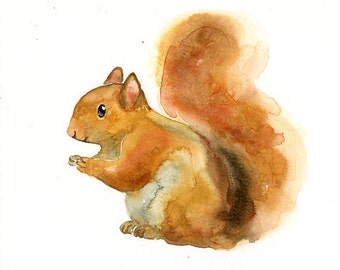 SQUIRREL Original watercolor painting 10x8inch