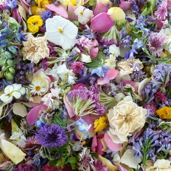 confetti petals bulk