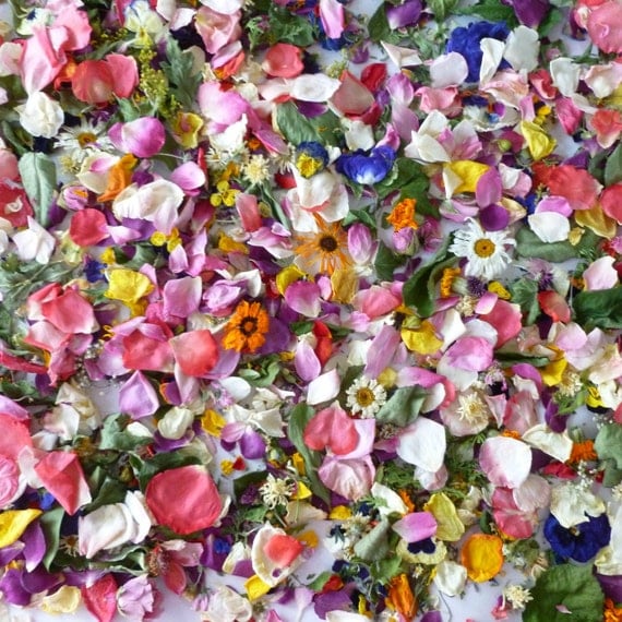 Dried Petal Confetti Dry Flowers Petals Petal by LarkspurHill Dried Petal Confetti Dry Flowers Petals Petal by LarkspurHill