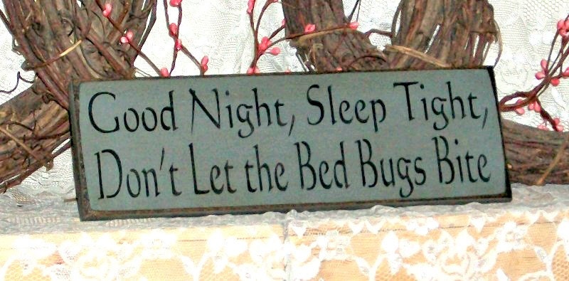 sleep tight dont let the bedbugs bite sleep tight dont let the bedbugs bite