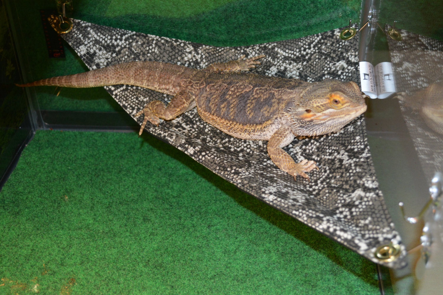 Bearded Dragon Hammock 15x15x21 Lounge Bed larger size