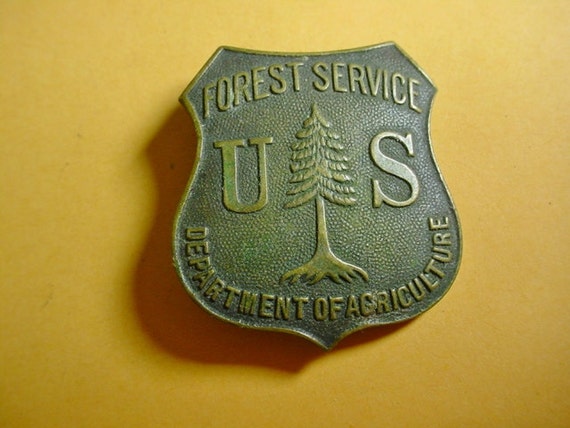 Reserved for Cameron.....Early US Forest Service Pin Badge