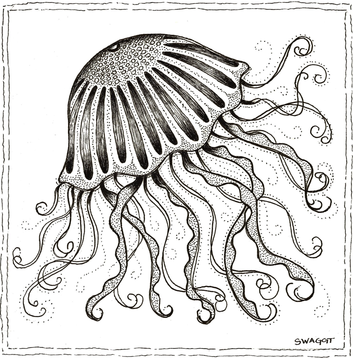 Jellyfish Pen & Ink Drawing