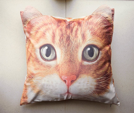 pillow tabby orange