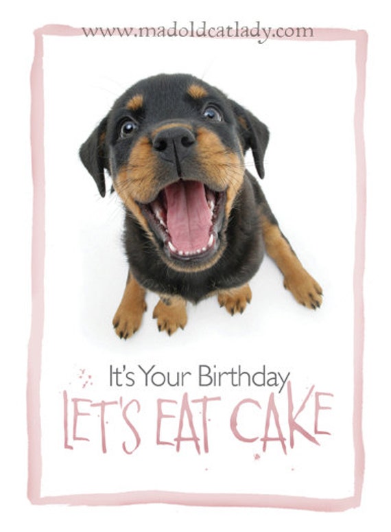 Rottweiler birthday card