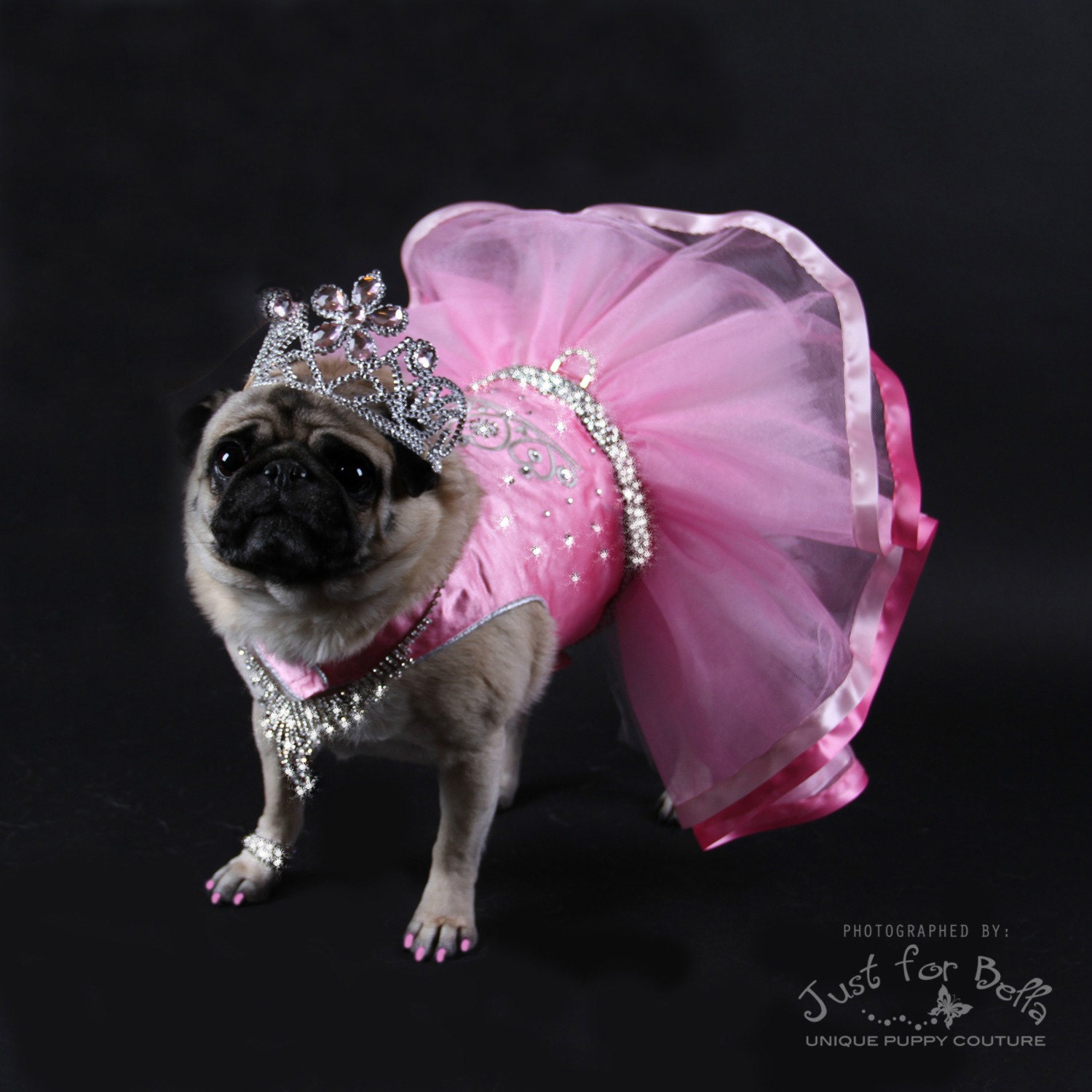 SPECIAL OCCASION Pink Pageant Dog Dress