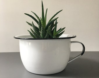 vintage white enamelware chamberpot planter rustic farmhouse