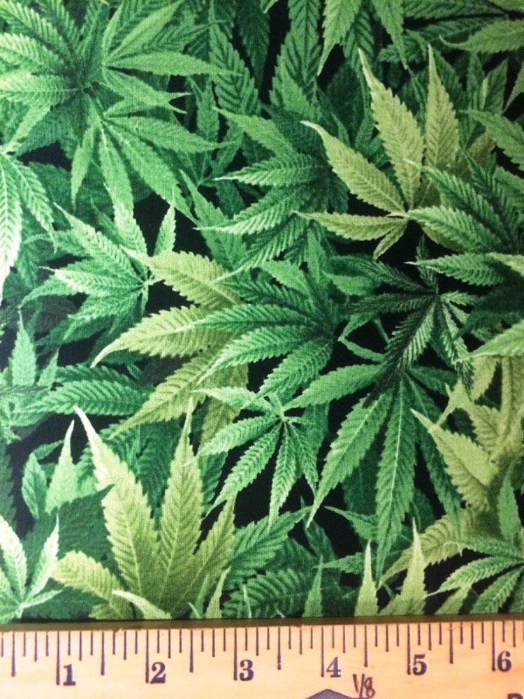 Cannabis Leaf Cotton Fabric by Timeless by CarolinaCottonCo